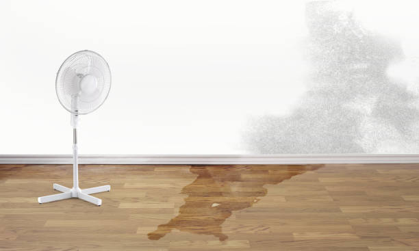 Best 24-hour water damage restoration  in Electra, TX