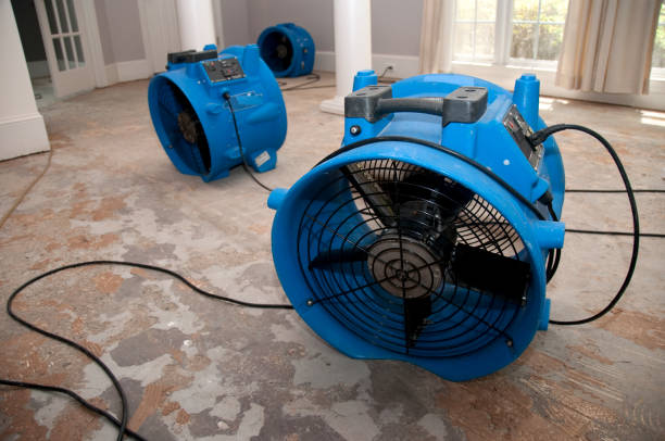 Best Water damage cleanup near me  in Electra, TX