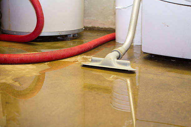  Electra, TX Water damage restoration Pros