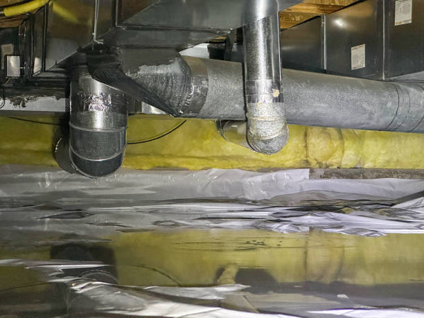 Best Flooded house restoration  in Electra, TX
