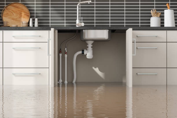 Best Water damage restoration services  in Electra, TX