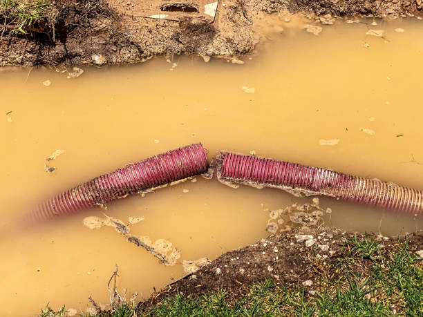 Best Residential water damage restoration  in Electra, TX